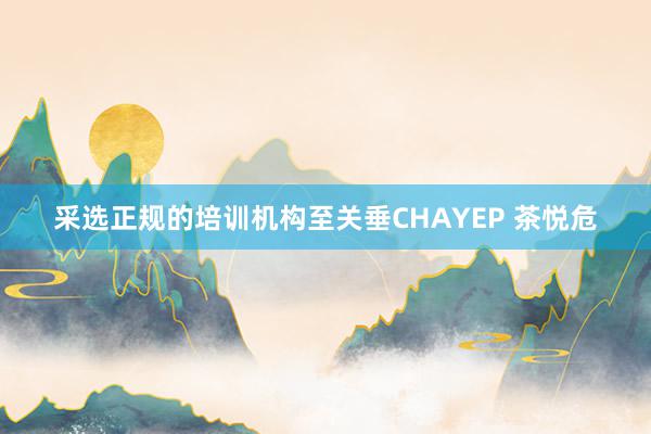 采选正规的培训机构至关垂CHAYEP 茶悦危