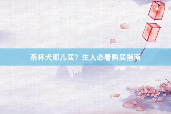 茶杯犬那儿买？生人必看购买指南